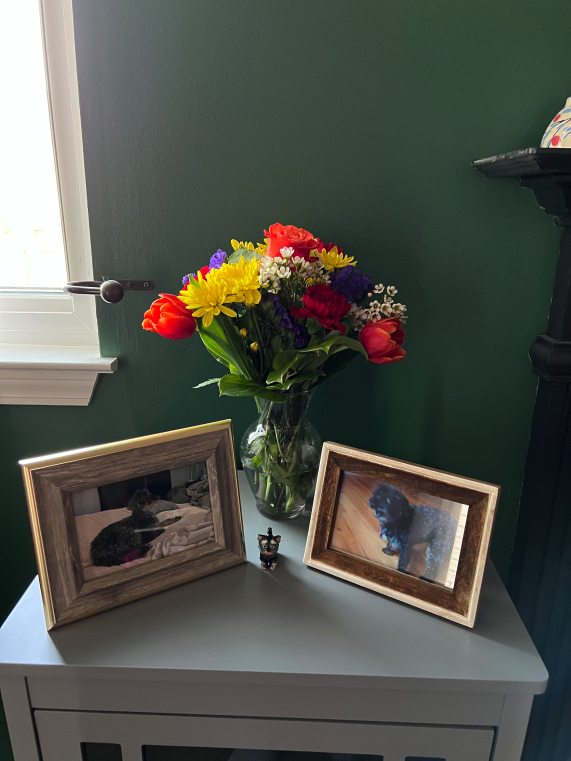 A few weeks ago my dog Kippy passed away. I had to contact <a href="/Chewy/">Chewy</a> to cancel the autoship order of his special food. They refunded the last order and told me to donate the food and they were sorry to hear about Kippy. Today flowers got delivered from Chewy from a local shop <3