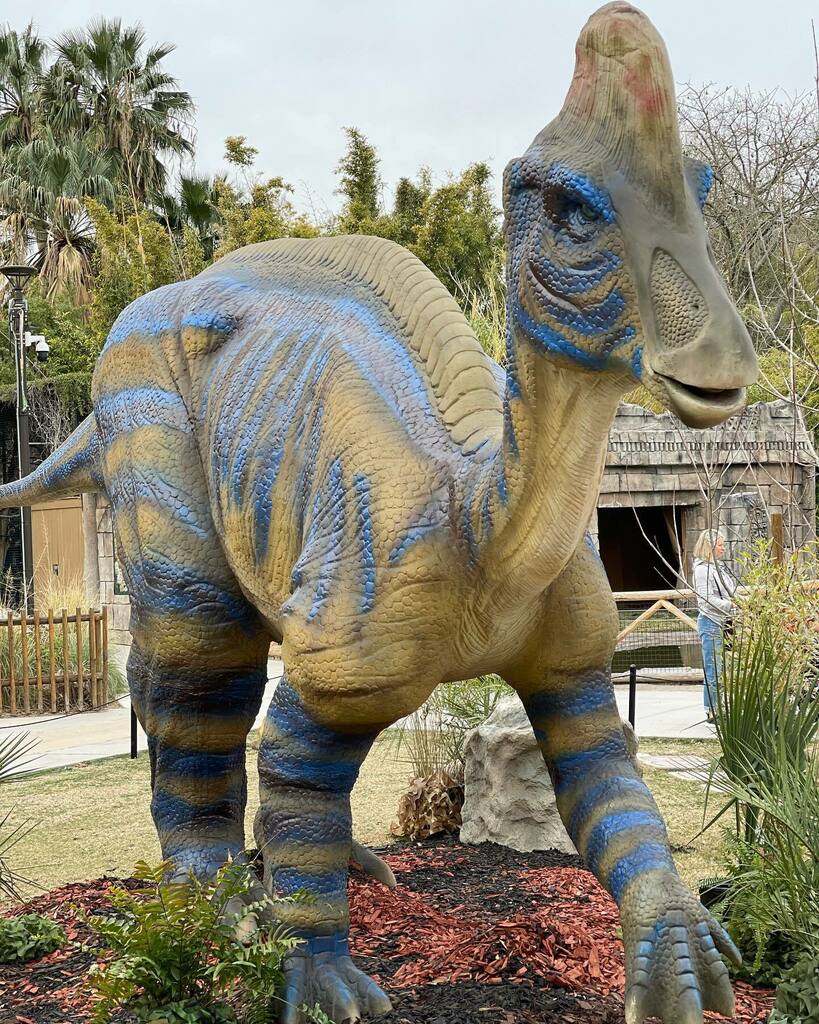 TucsonTopia (@tucsontopia) on Twitter photo There is a new exhibit at <a href="/reidparkzoo/">Reid Park Zoo</a> through May 15 - Dinosaur Discovery! As you wander through the zoo, you’ll meet a variety of different dinosaurs. Included with zoo admission. #Tucson There is a new exhibit at <a href="/reidparkzoo/">Reid Park Zoo</a> through May 15 - Dinosaur Discovery! As you wander through the zoo, you’ll meet a variety of different dinosaurs. Included with zoo admission. #Tucson