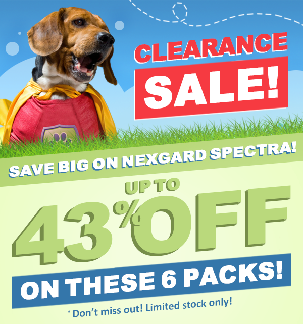PetGuardiansAus's tweet photo. SAVE even MORE! Don't miss out. Only while stocks last. - https://t.co/F0CXoXoAwI https://t.co/VnNxU21eRi