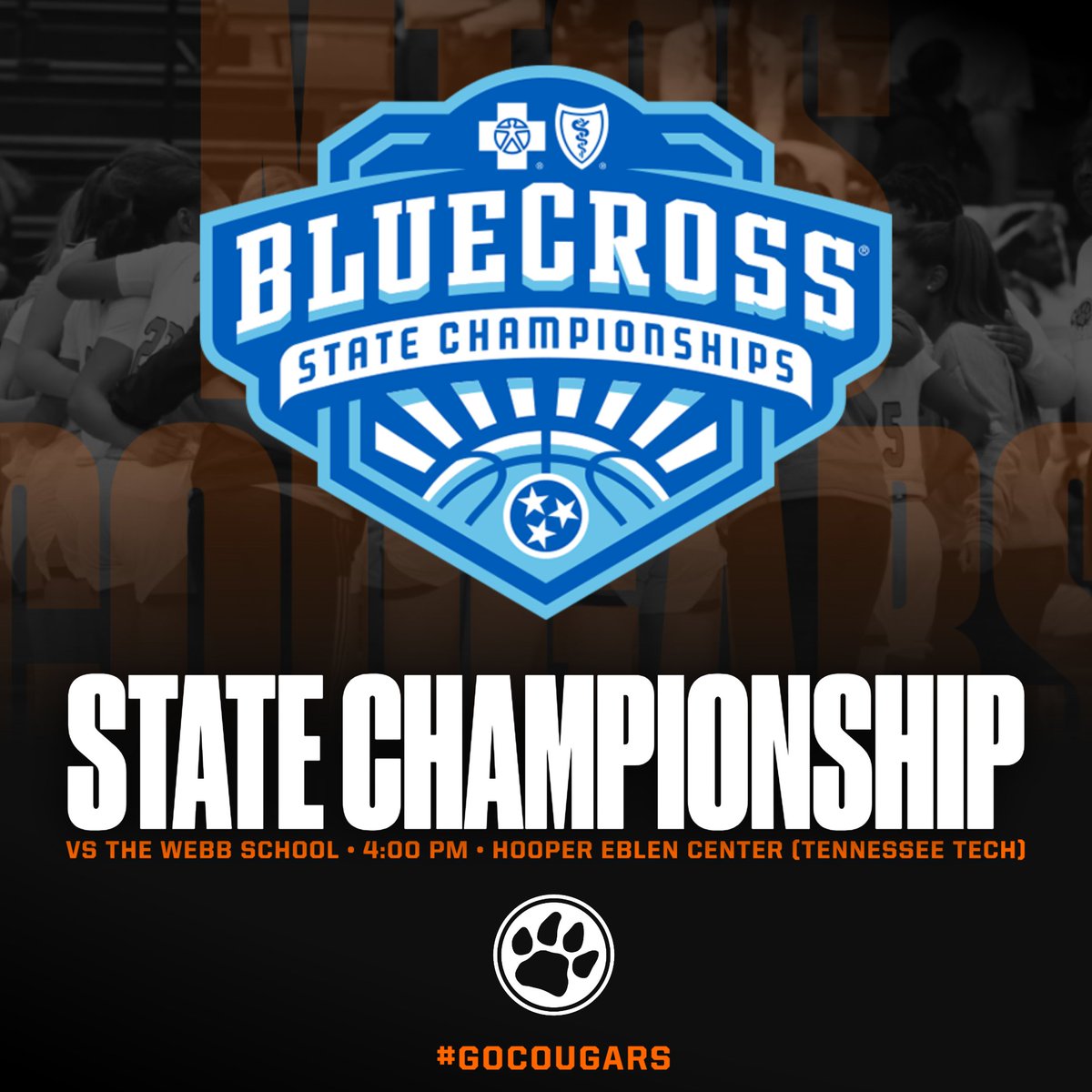MTCSAthletics's tweet photo. Our girls have punched their ticket in the DII-A State Championship game and will take on The Webb School tomorrow at 4pm! See you there! #GoCougars https://t.co/MRUiv5U5kz