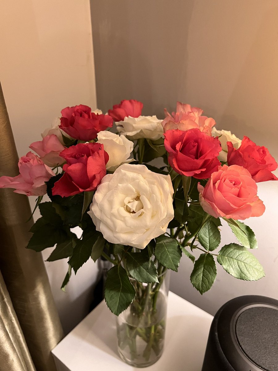 mrmaccamac's tweet photo. @LidlGB absolutely stunning flowers one week later ❤️💕 £5.49 👀 https://t.co/Pn5Pq3vcsX