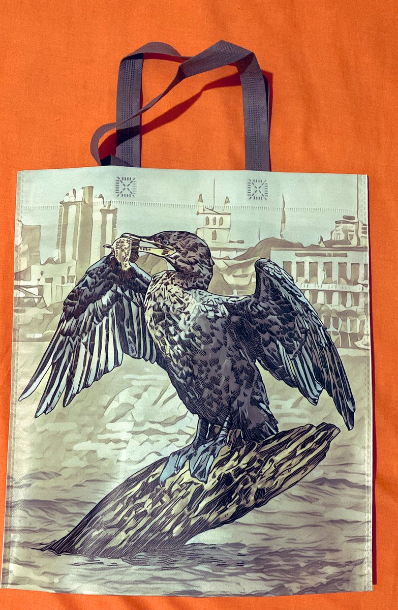 claudiaargenta's tweet photo. Fui a comprar a @puntofarmapy y me regalaron esta hermosa bolsa con la imagen de un Mbiguá #yoreutilizo #recicla https://t.co/nuUbVPpB6d