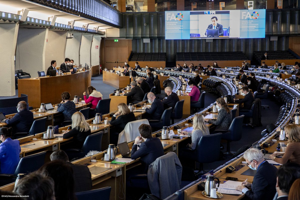 FAODG's tweet photo. I had fruitful and inclusive dialogues with all FAO regional groups today on accelerating the implementation of the @FAO Strategic Framework, and on emergencies affecting global #FoodSecurity. https://t.co/SJuAZDWp6J