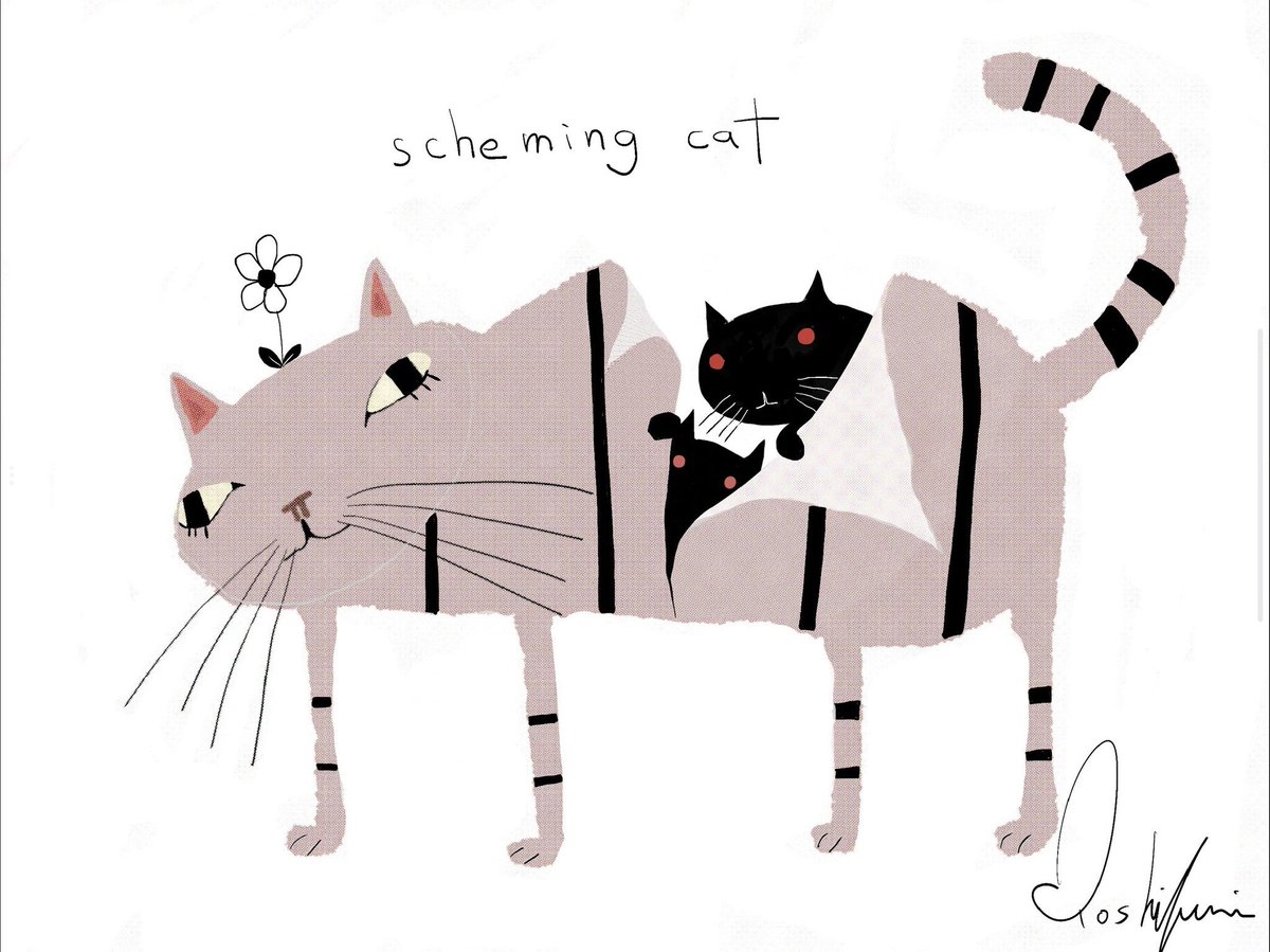 MittereMary's tweet photo. @MissAbb37309863 My cats, this is the closest picture I have to them on this device. https://t.co/SwnfamandF