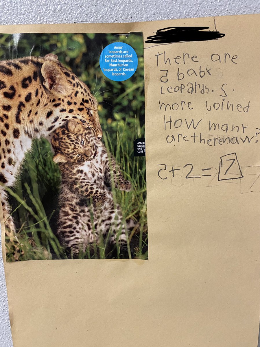 mrsbufkinsclass's tweet photo. Writing across the curriculum. Way to go @1stSommerfeld! These are amazing! #actonfam https://t.co/D9y8QLlXCw