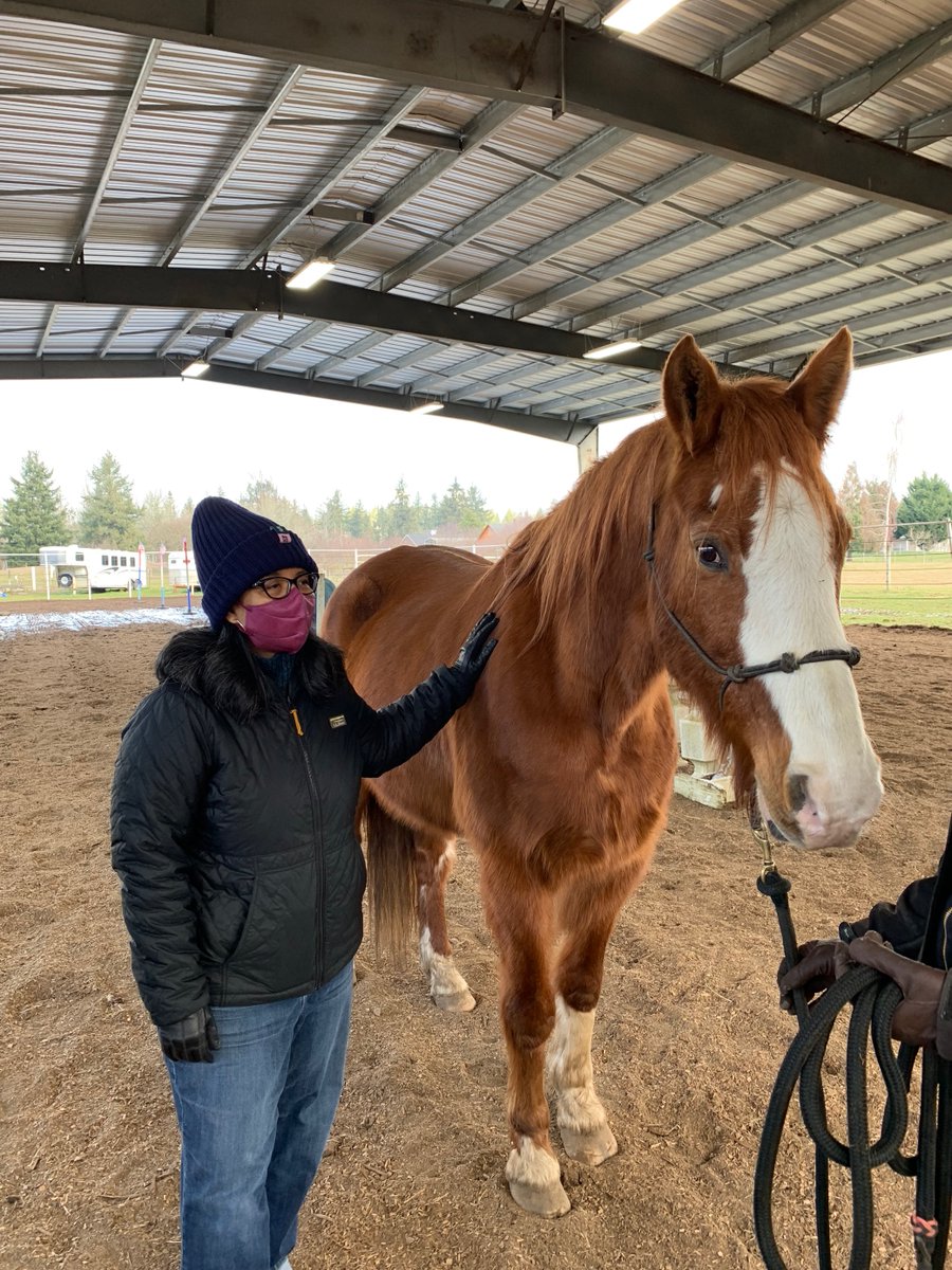 RepStricklandWA's tweet photo. I visited Hope for Heroes in @cityofyelm with @JoeDePintoWA and received an introduction to equine therapy, which helps South Sound veterans who may suffer from PTSD and other health issues. 

Thank you for the hope you provide our veterans! https://t.co/SEwpnLgnId