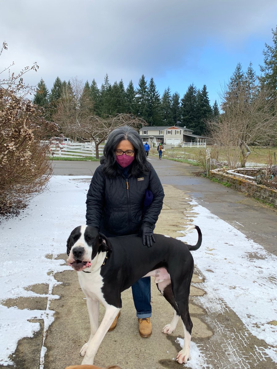 RepStricklandWA's tweet photo. I visited Hope for Heroes in @cityofyelm with @JoeDePintoWA and received an introduction to equine therapy, which helps South Sound veterans who may suffer from PTSD and other health issues. 

Thank you for the hope you provide our veterans! https://t.co/SEwpnLgnId