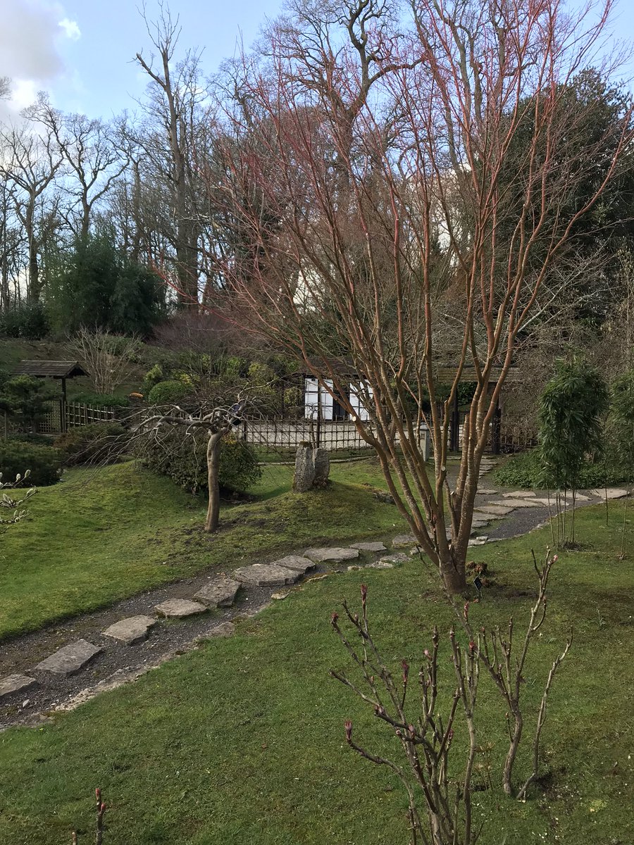 JYparadoxchild's tweet photo. Gardens at kingston lacy #nt #nationaltrustuk #garden #secrectgarden https://t.co/ZRvecarUZ5