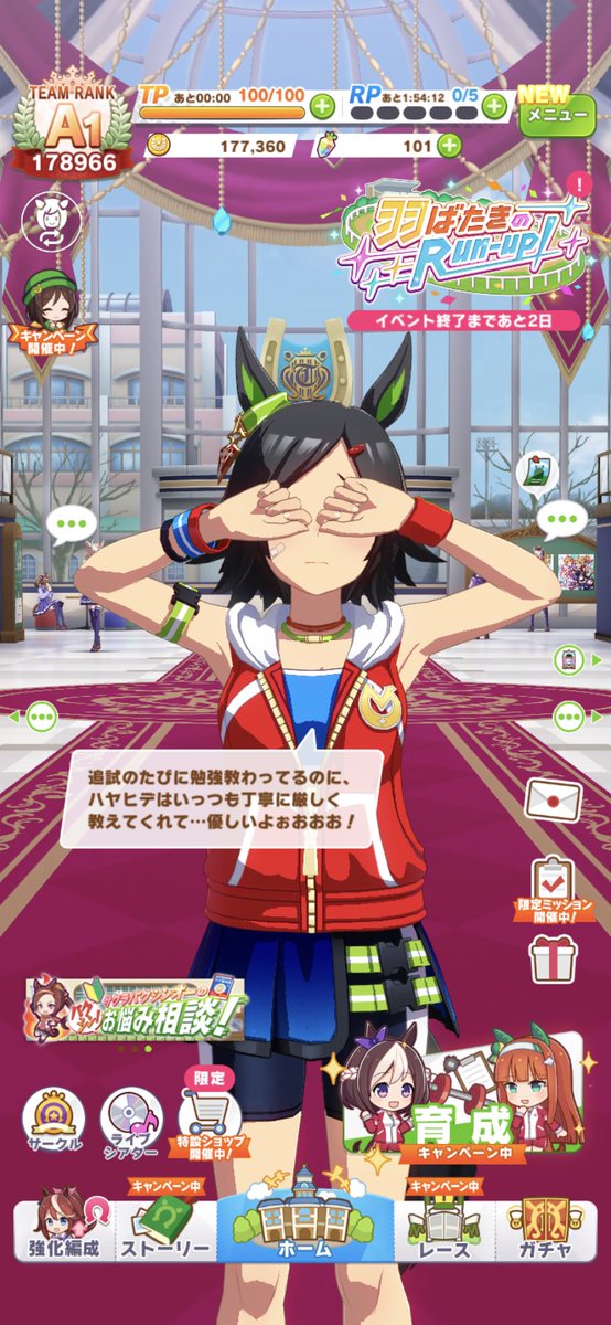 KIT_MAD0's tweet photo. この頃はチケゾーを可愛がっております https://t.co/4dZVDz3Myq