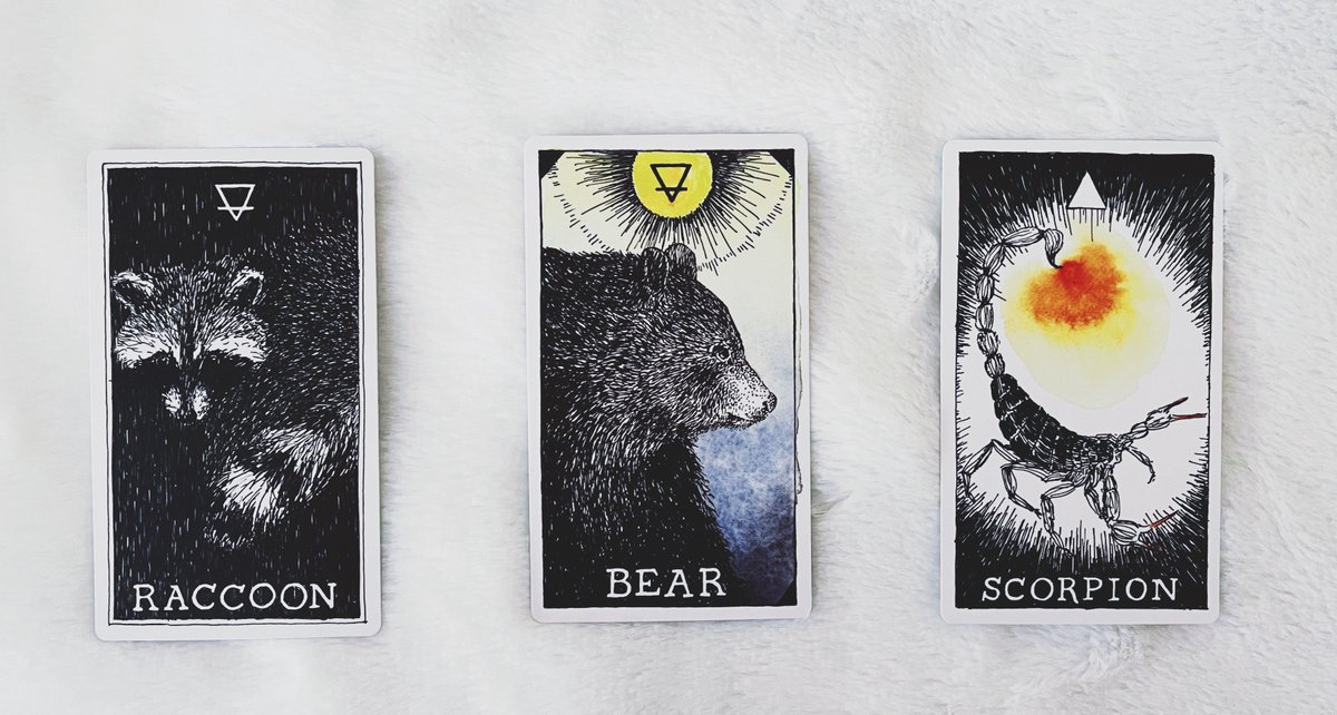 MysticSisNFT's tweet photo. ⚡️ WEEKEND FORECAST READING ⚡️  

Choose which card speaks to you. 

Comment with a 🦝, 🐻, or 🦂 below and we will *like* your reply later today when the reading for your choice is posted! https://t.co/EgyjuvXtZU
