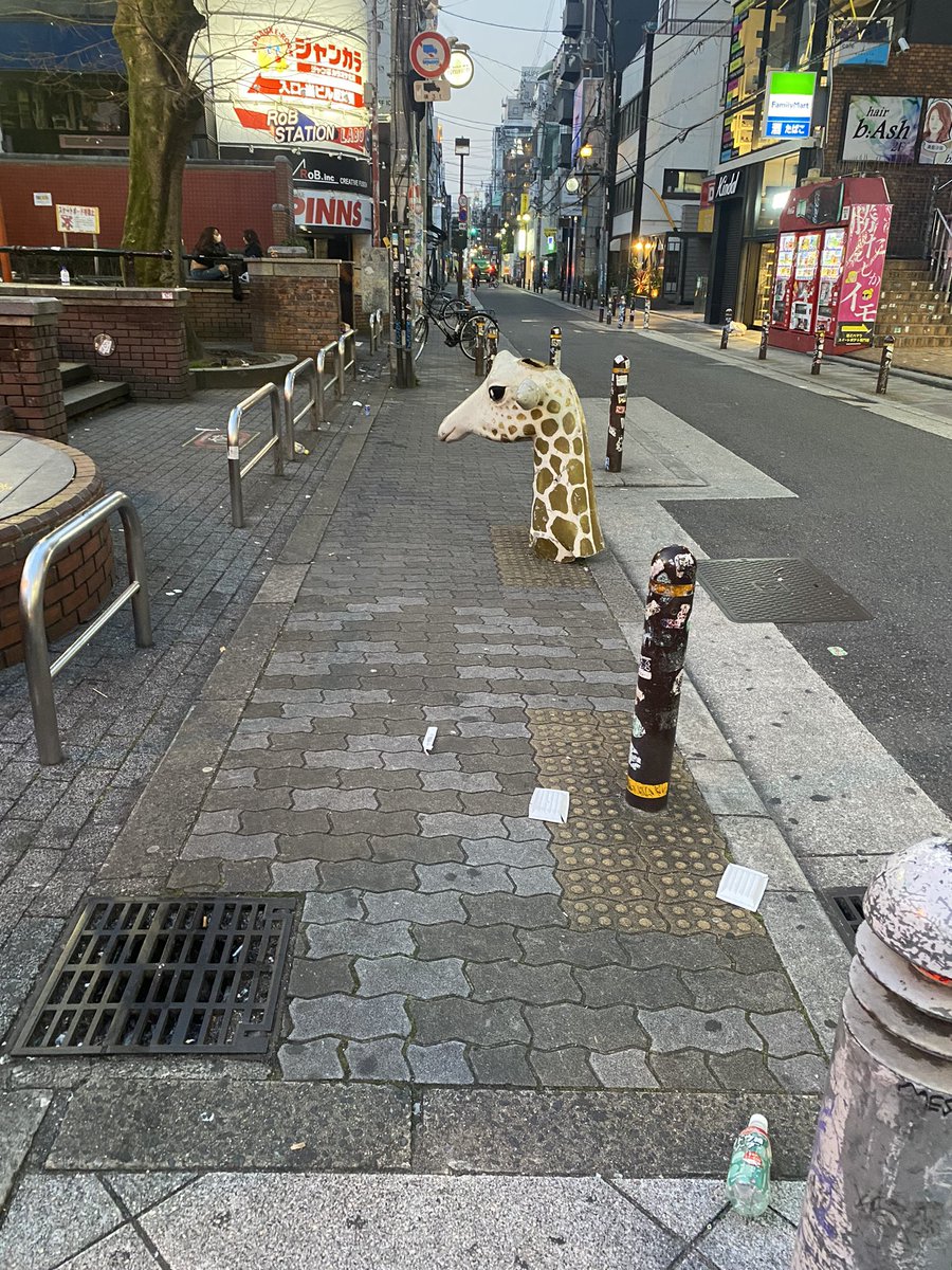 hammerFxxKER's tweet photo. なんでキリン、、 https://t.co/MVGrMN5Q1d