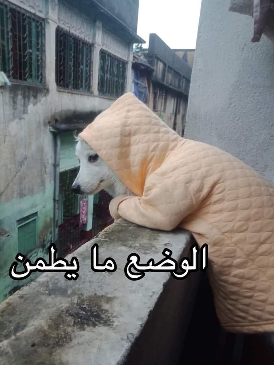 Joe___74's tweet photo. بعد امتحان الفزيا انهارده https://t.co/O7oI9IceZA