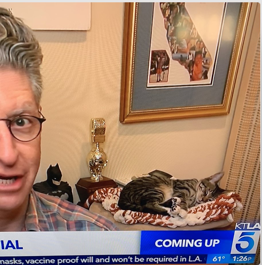 Teri007's tweet photo. @Davidlaz @KTLA
Co-producer - Lupin working hard in the 
11am hour and then .... in the 1pm hour zzzzzz https://t.co/v68utHuVhK