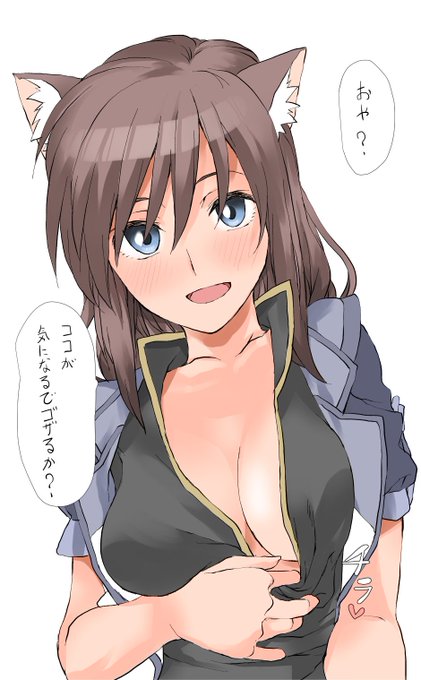 さすが懐(おっぱい)がでかい・・・! #ブリオッシュ・ダルキアン 