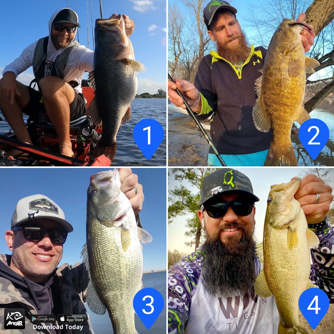 ANGLRfishingapp's tweet photo. Pick your favorite catch of the week in the comments below β¬οΈ
Want a chance to be featured? Tag us in your catches! π₯
#bass #liveforthewater #bassfishing #kayakfishing #largemouthbass #largemouth #fishing #anglrbullseye #anglr #anglrapp #fishing #fishingaddict #bass https://t.co/aYobs9w7eM