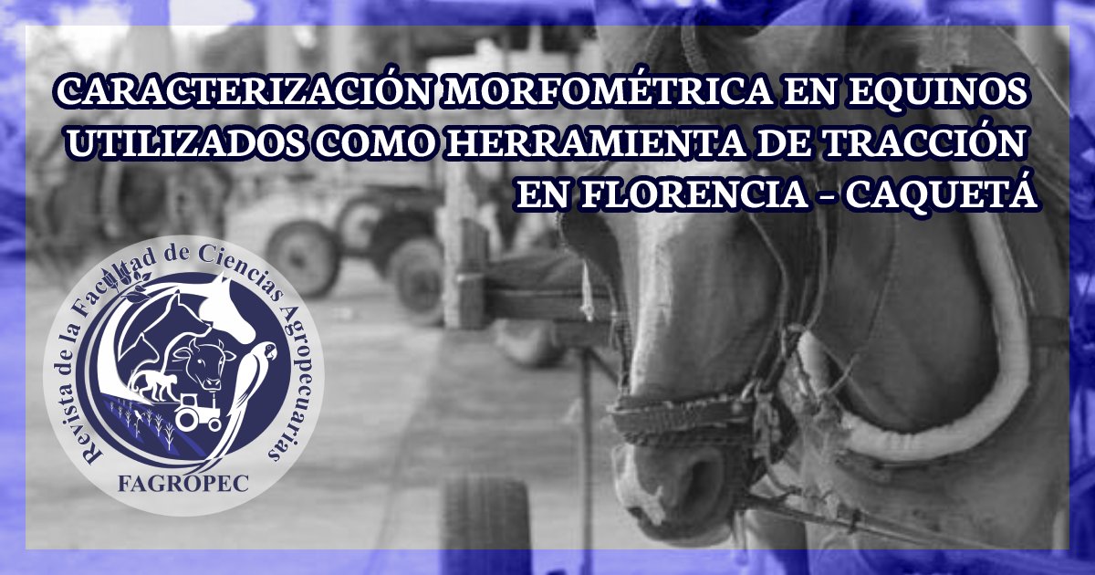 EUniamazonia's tweet photo. La #revistaFagropec publica #artículosdeinvestigacion  como: Caracterización morfométrica en equinos utilizados como herramienta de #tracción en #FlorenciaCaquetá. #veterinary #equine #caballo #traccion #criollo #studygroup https://t.co/NgKLlcwTzd https://t.co/2iikx7D8qy