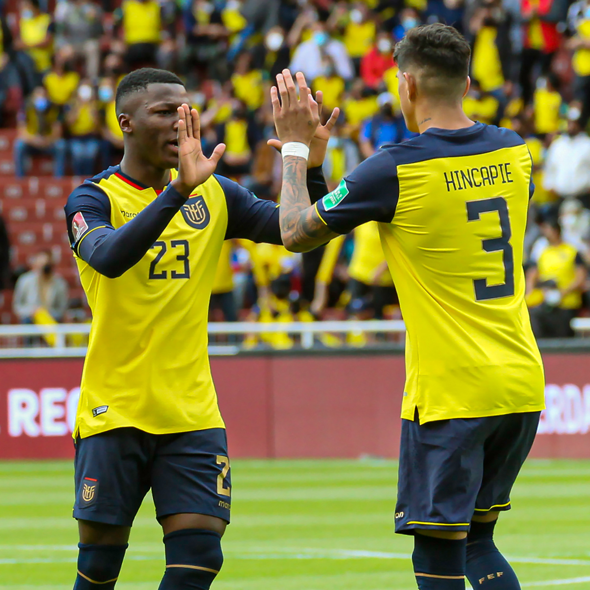 La Tri 🇪🇨 on X: "😎 ¡Un toque de frescura! 💪 ¡Moisés Caicedo y Piero  Hincapié; de Ecuador para el mundo, papá! 🤩 Falta poco para volver a  juntarnos en un solo