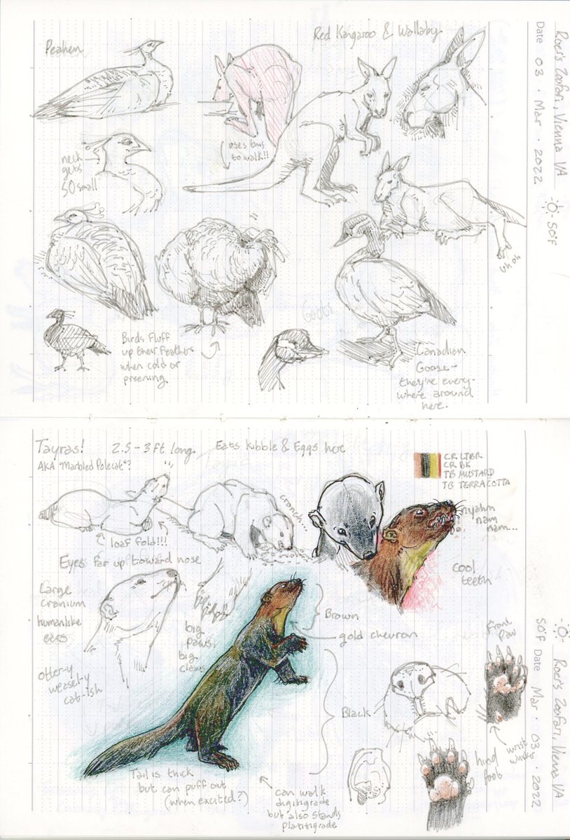 Escher A. Bug @ YEAR OF THE GROBB tweet media