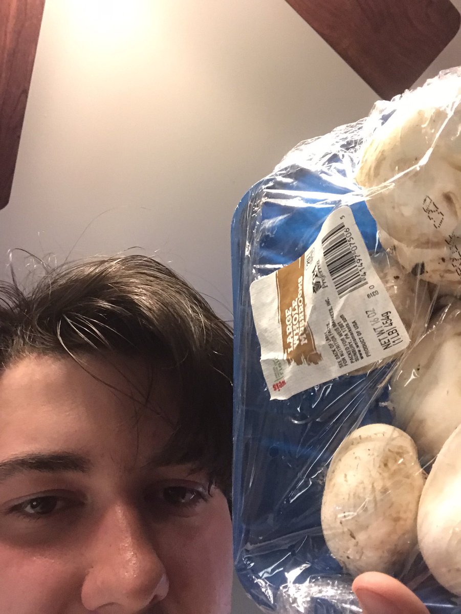 vkoch23's tweet photo. Got some button mushrooms aka Agricus bisporus, they are native to grasslands with that receive regular rain popping up in no specific patterns spotting fields #drfoxcall #plant200week8 https://t.co/SuUEGAnGPv