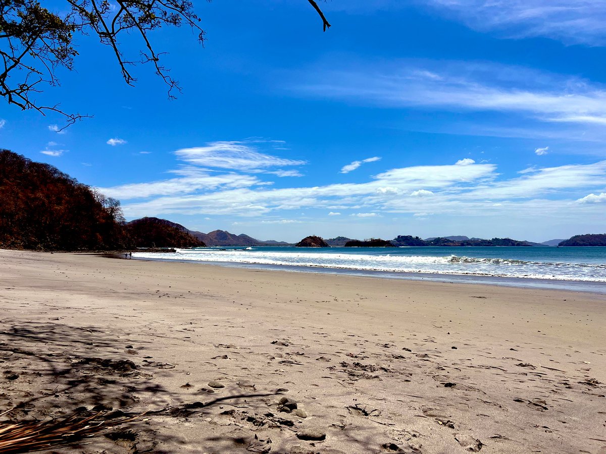 Mehul Parekh tweet media