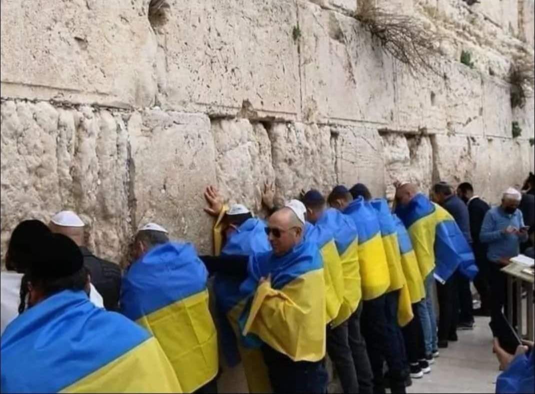 بوتن كمل عملك