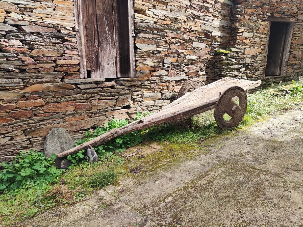 eroskiman's tweet photo. El carro del Abuelo esta mañana en #VilardoCaurel…. tecnologia gallega perdurable en #ocaurel con 50 años… el #AlpinedoCaurel @COURELMOUNTAIS @O_Courel @alo_oficial https://t.co/wzCekmbtpi