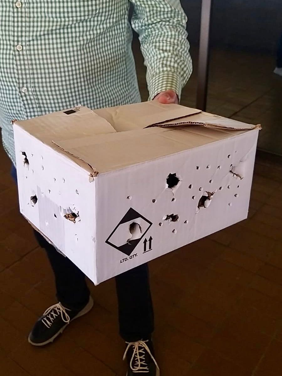 ¡Conservemos la vida silvestre! 🦉🙌🏻

Hoy rescatamos un Tecolote Llanero que se encontraba lastimado en los pasillos de la Secretaría de Bienestar y Desarrollo Sustentable, de inmediato lo resguardamos y dimos aviso a <a href="/PC_Sinaloa/">Protección Civil Sinaloa</a> para su atención y cuidado.