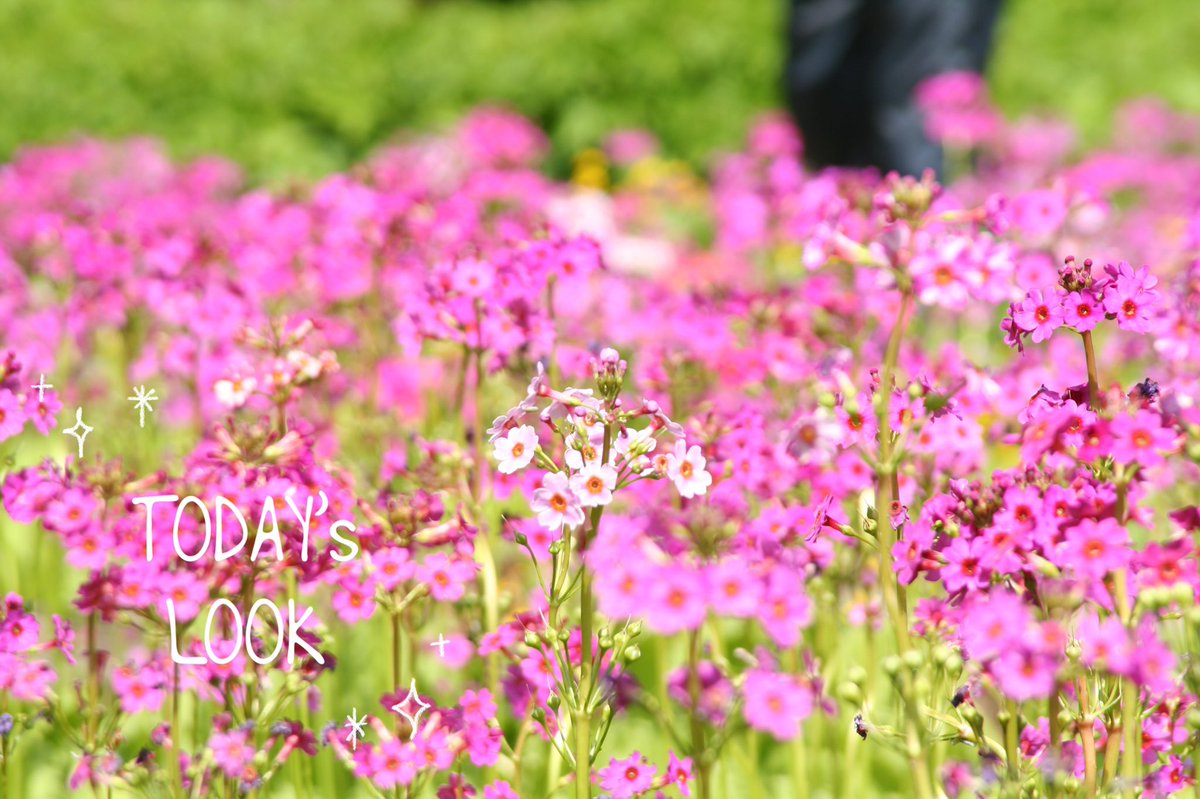 mediamy33's tweet photo. おはようございます*˙︶˙*)ﾉ"

きょうもすてきないちにちを

お過ごしくださいね〜🌷 https://t.co/OQAwlVwYCu