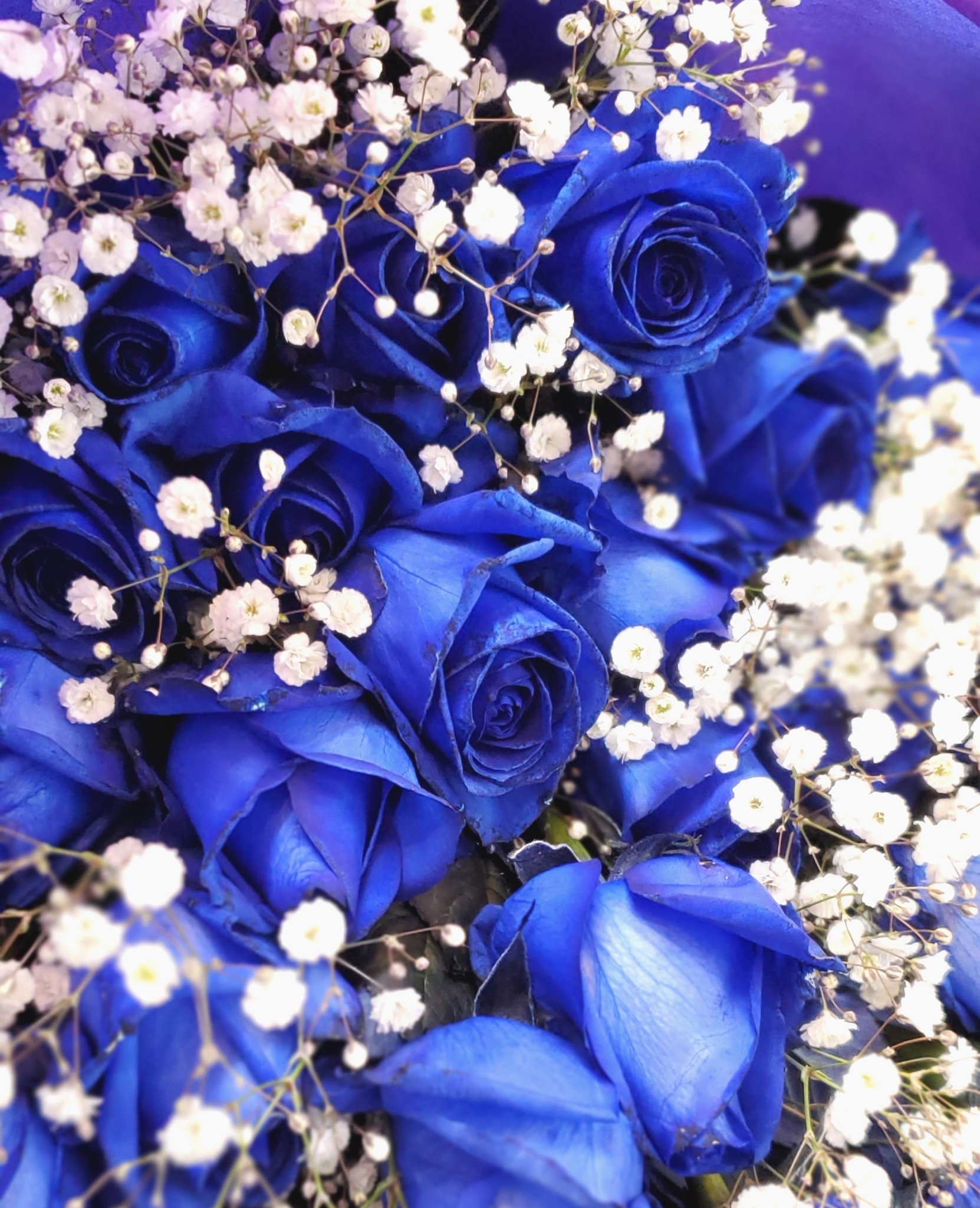 リーフガーデン 京都お花屋さん 青薔薇 本日ご用意できます 青い薔薇の花言葉は 夢が叶うです 卒業シーズンにたくさんご予約頂きます ご予約対応しかしていませんが 本日余分があります リーフガーデン京都 リーフガーデン T Co