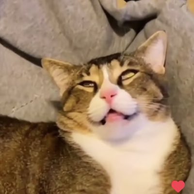 ilham_kennedy's tweet photo. #NewProfilePic https://t.co/vR5j1NrFxz