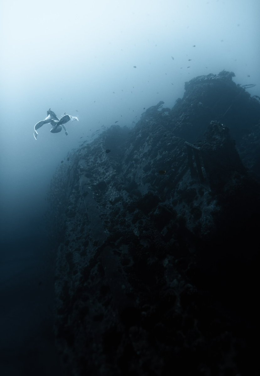 I dive to find my own depth 🤿