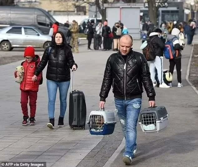 PYolkatl_mx's tweet photo. #Ucrania
 Polonia, Rumania y Eslovaquia están permitiendo que los #ucranianos que huyen traigan a sus amados animales a través de las fronteras, sin el papeleo del veterinario.
La organización Rumana animalista Casa Lui Patrocle ayuda con asistencia veterinaria. https://t.co/fuxrWrHoSQ