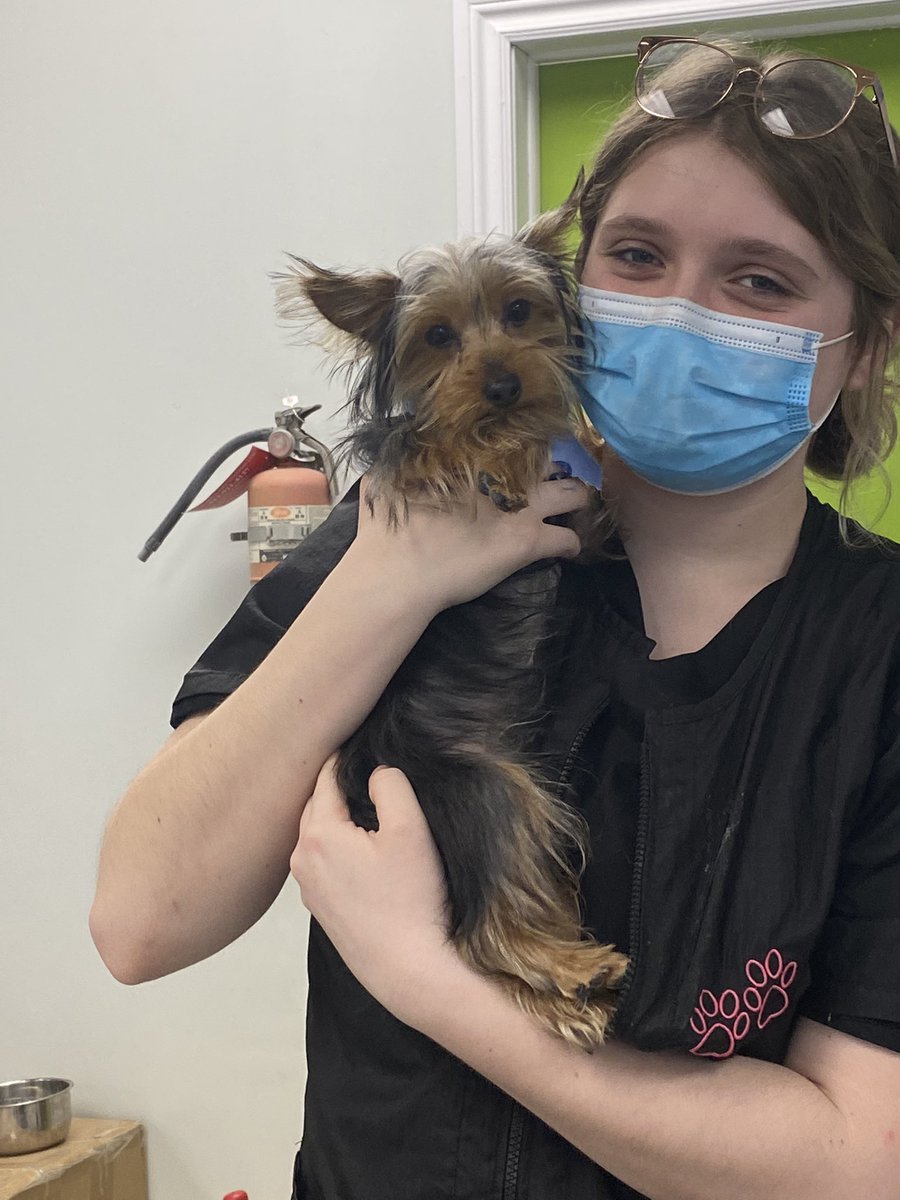 ENSSonline's tweet photo. Shout out to Hair of the Dog Trenton for supporting our COOP program.  Always a good day when puppy cuddles are involved  🥰 
Cooperative Education… making High School work for YOU!  @KPRpathways https://t.co/9xas20glJi