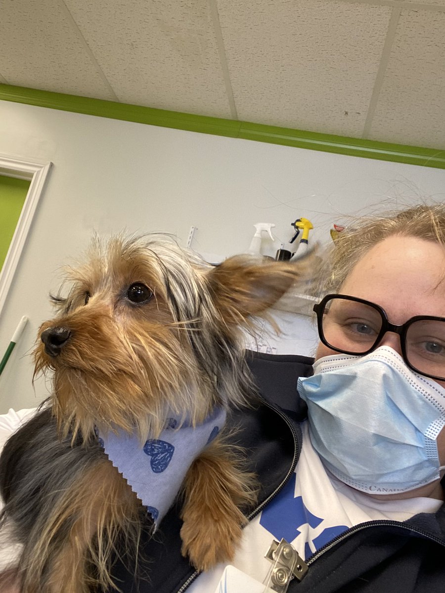 ENSSonline's tweet photo. Shout out to Hair of the Dog Trenton for supporting our COOP program.  Always a good day when puppy cuddles are involved  🥰 
Cooperative Education… making High School work for YOU!  @KPRpathways https://t.co/9xas20glJi