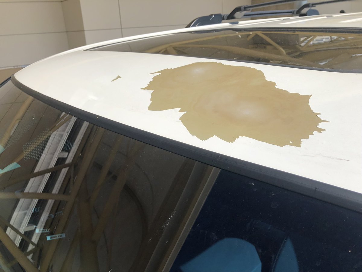 Petja Taivassalo tweet media