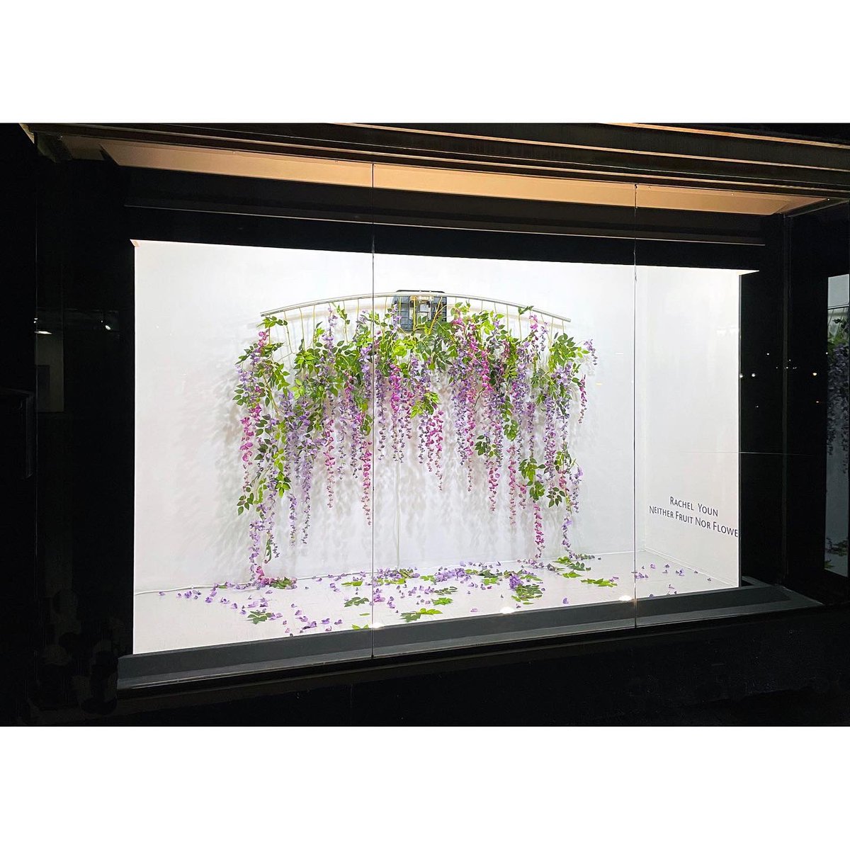 bdavidgallery's tweet photo. Tonight, while driving 7513 Forsyth Blvd in Clayton/St. Louis, see a sculpture installation “Neither Fruit Nor Flower” by Rachel Youn at the gallery's vitrine space WindowOnForsyth (view 24/7)
.
.
#RachelYoun #WindowOnForsyth #brunodavidgallery #downtownclaytonMO #STLart #STLMade https://t.co/wkNMauvQnC