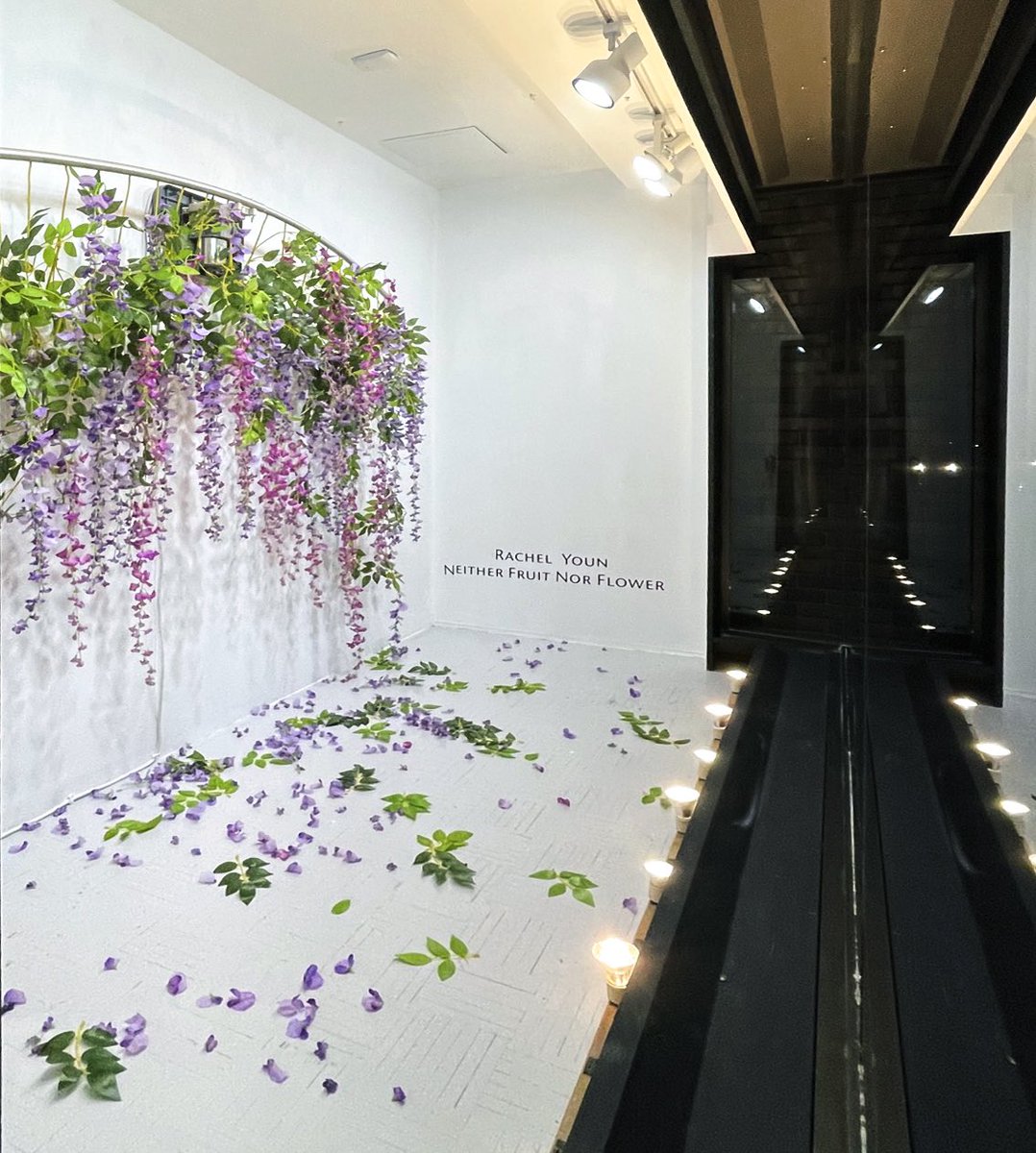 bdavidgallery's tweet photo. Tonight, while driving 7513 Forsyth Blvd in Clayton/St. Louis, see a sculpture installation “Neither Fruit Nor Flower” by Rachel Youn at the gallery's vitrine space WindowOnForsyth (view 24/7)
.
.
#RachelYoun #WindowOnForsyth #brunodavidgallery #downtownclaytonMO #STLart #STLMade https://t.co/wkNMauvQnC
