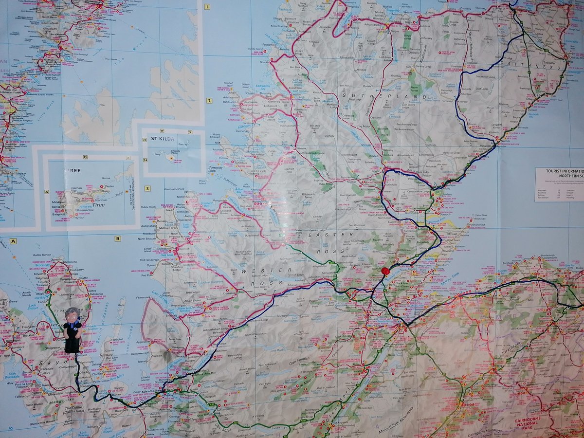 Gail Fox tweet media