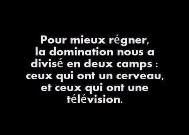 CamBeau35's tweet image. Voilà...