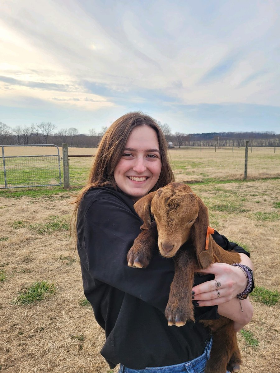 Scholars and Goats = perfect combination
