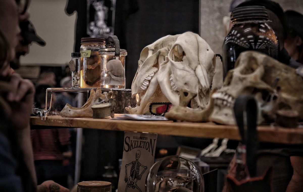 NMMagazine's tweet image. Anything weird and wacky is the focus of the Oddities and Curiosities Expo, where vendors from around the country showcase strange wares like taxidermy, creepy garments, skulls, original artwork &amp;amp; more. newmexicomagazine.org/blog/post/five…