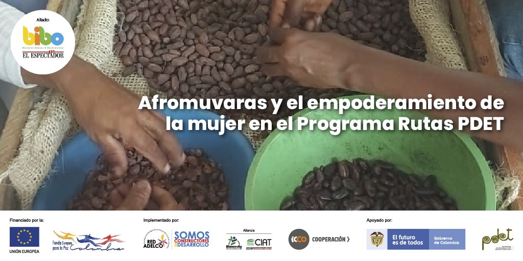 BIBOCol's tweet photo. En la zona rural de Tumaco, Nariño, más de 500 mujeres hacen parte de Afromuvaras, una asociación dedicada a la producción, compra y transformación del cacao. Es una de las organizaciones que recibe apoyo del Programa #RutasPDET del #FondoEuropeoParaLaPaz. https://t.co/x8Ki92j5Vm