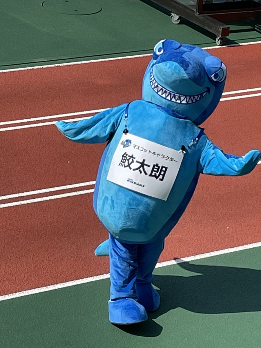 鮫太郎ページ 清水建設江東ブルーシャークス チームキャラクターの鮫太郎😊 スマホを