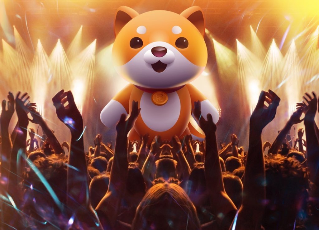 Baby Doge tweet media