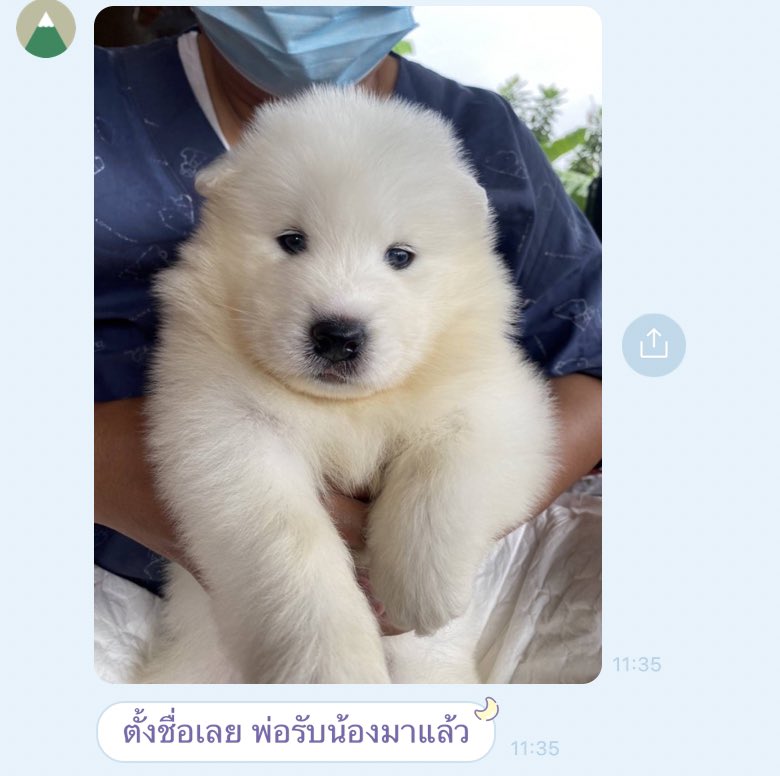 รู้ยังกูวู่วามได้ใคร บ้านพังแน่ 🥲