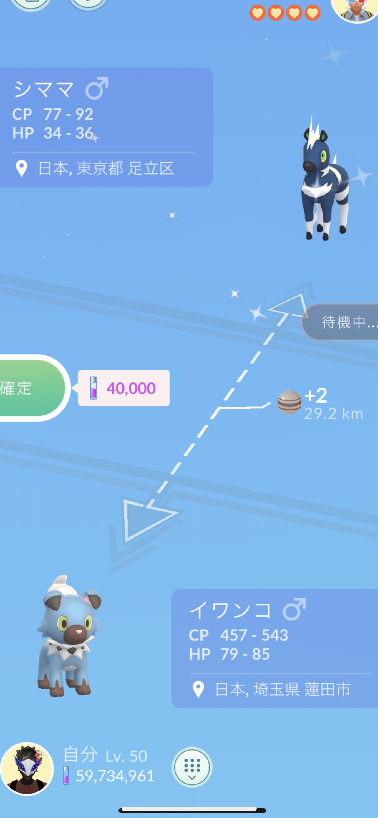 ひろ レイド招待不要 特別交換 色違いシママ頂きましたー 進化で色違いゼブライカをやっと入手 100交換もありがとうございました キラ1匹は渋かった T Co Y7yemt5paq Twitter