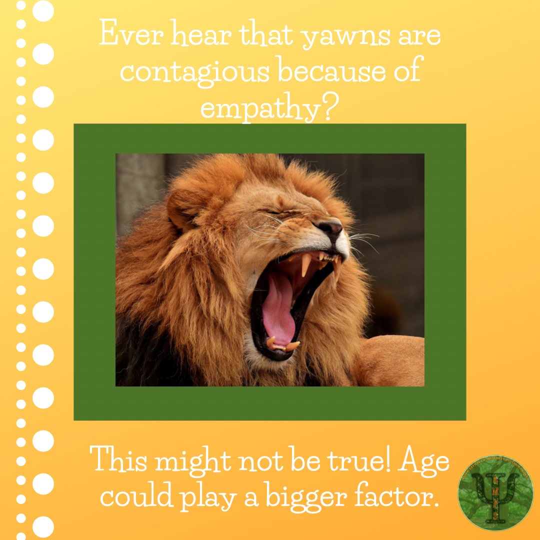amps_uiuc's tweet photo. Happy Fun Fact Friday!🎉

Researchers at Duke Medicine found that contagious yawning may decrease with age and isn’t strongly related to empathy!

#illini #ampsuiuc #uiuc #FunFactFriday https://t.co/FwGeYPBbIJ