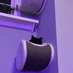 Photo by Mr.Tux (@PostingTux)