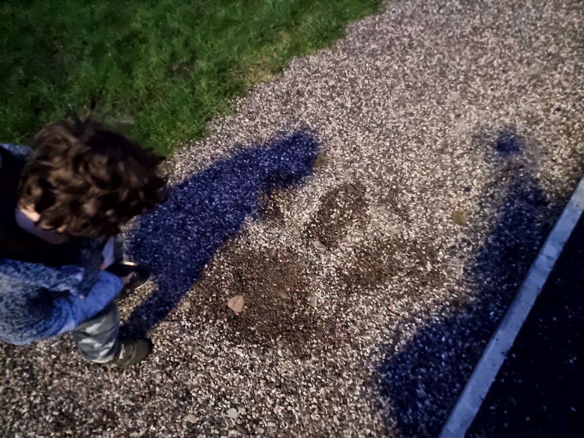 CUSTOMISED COLOURING GLOBAL🏴🌍🖍📚 tweet media