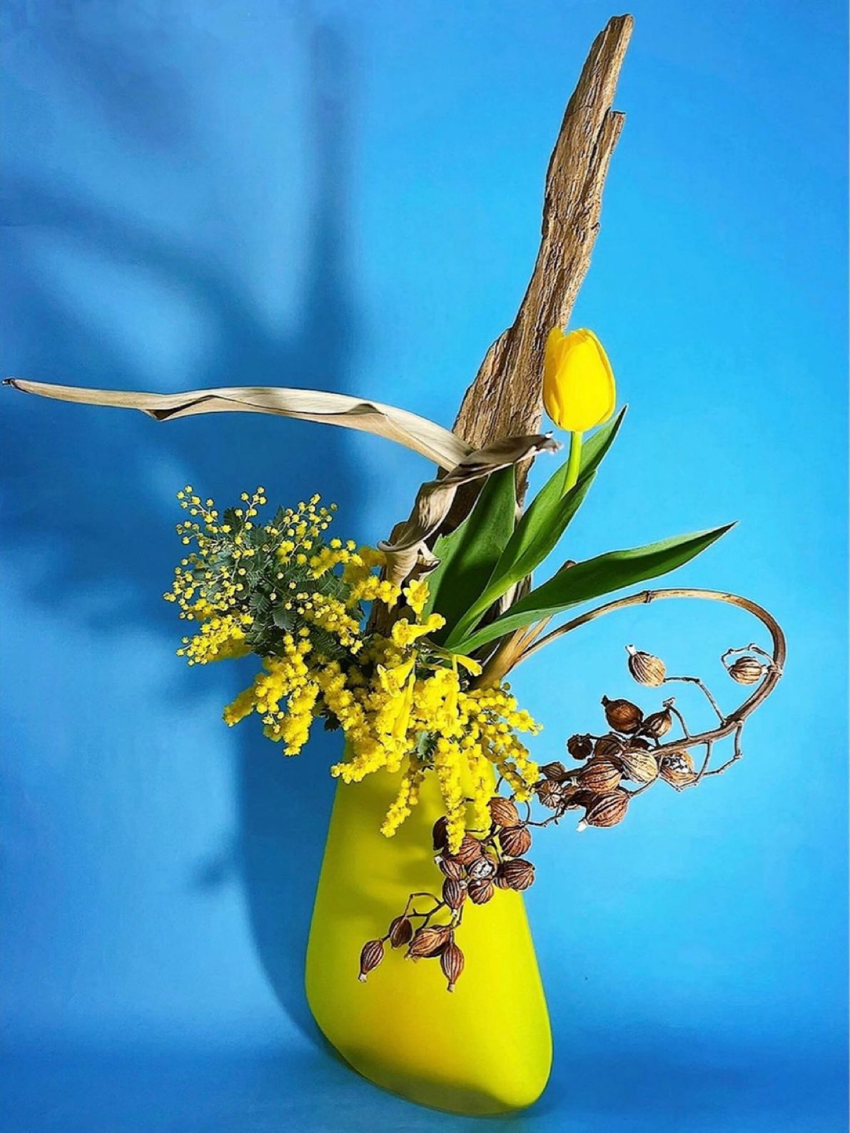 華道家 小林 玉実令 いけばな Ikebana Flower Artist 今に始まった事ではなく 人間社会は争いが絶えない というのが悲しい現実ですが 各々が心身の健康を保ち 周りを思いやりながら 自身のポジションの役割を きっちりと果たし 感謝報恩の 華道家 小林 玉実令 いけばな Ikebana Flower Artist 今に始まった事ではなく 人間社会は争いが絶えない というのが悲しい現実ですが 各々が心身の健康を保ち 周りを思いやりながら 自身のポジションの役割を きっちりと果たし 感謝報恩の
